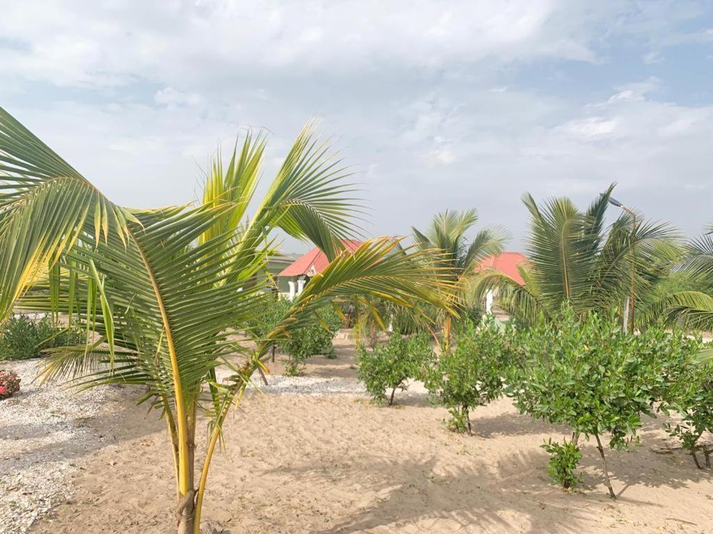 Bosofet Beach And Creek Lodge Sanyang Екстер'єр фото
