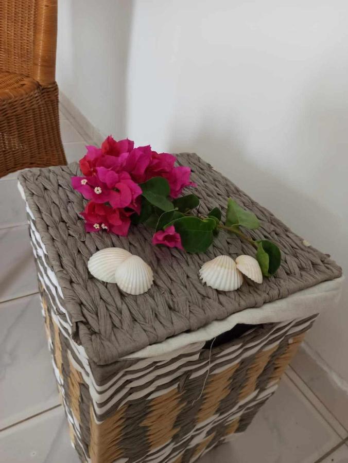 Bosofet Beach And Creek Lodge Sanyang Екстер'єр фото